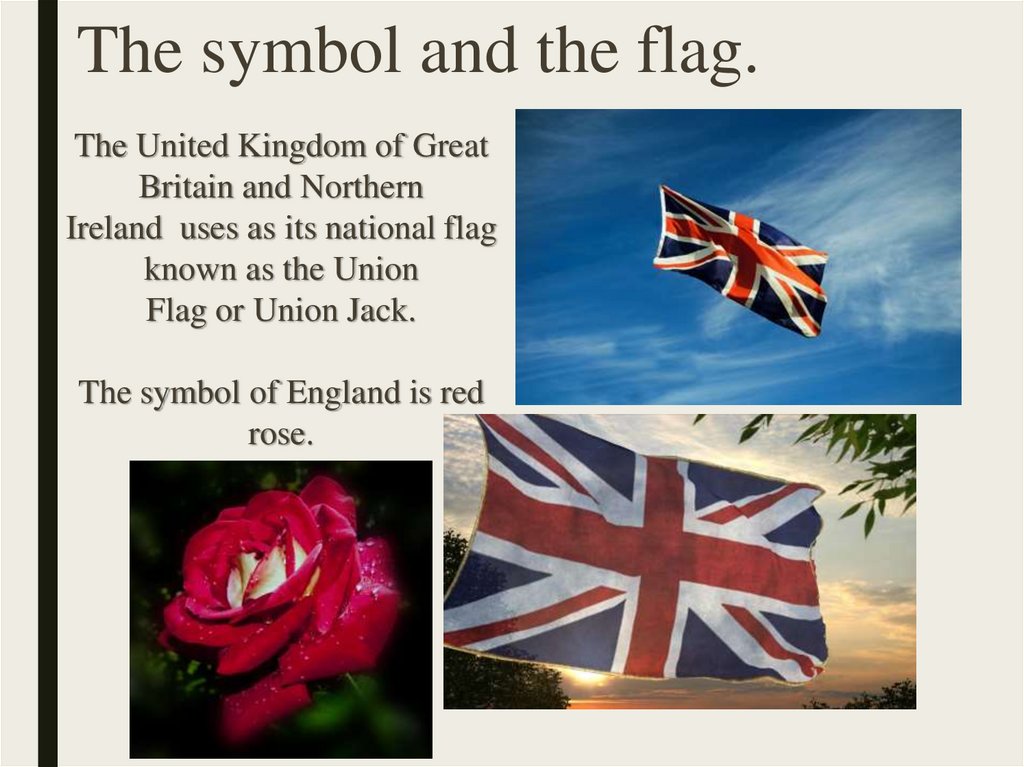 The symbol and the flag.