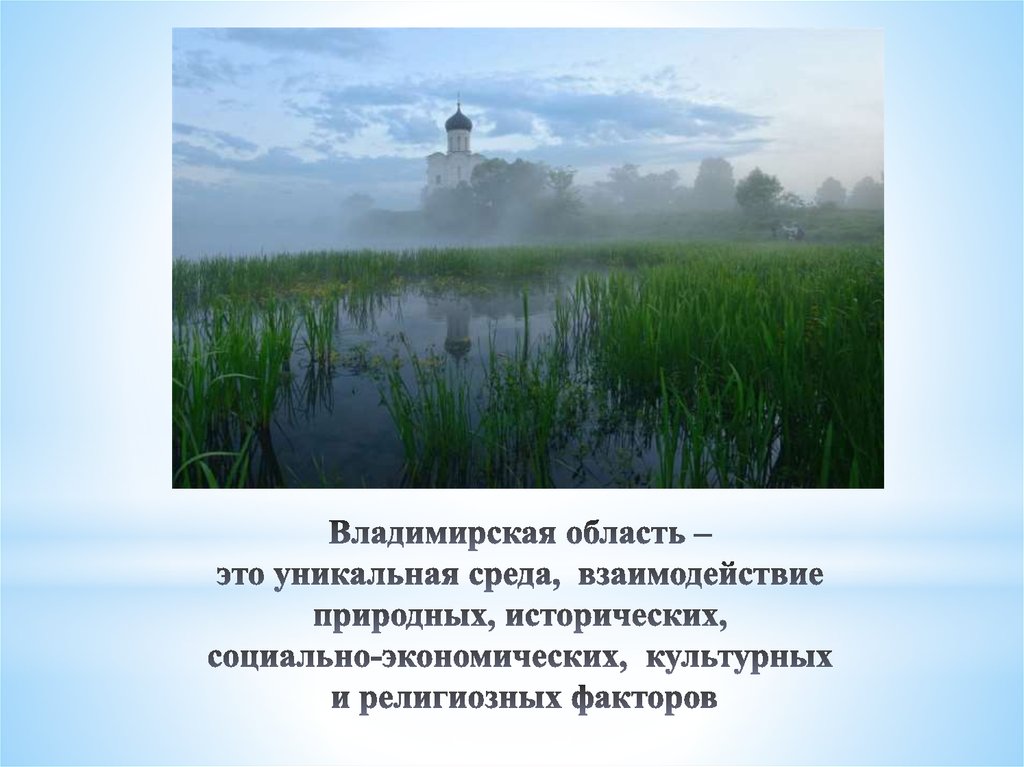 Владимирская область – это уникальная среда, взаимодействие природных, исторических, социально-экономических, культурных и