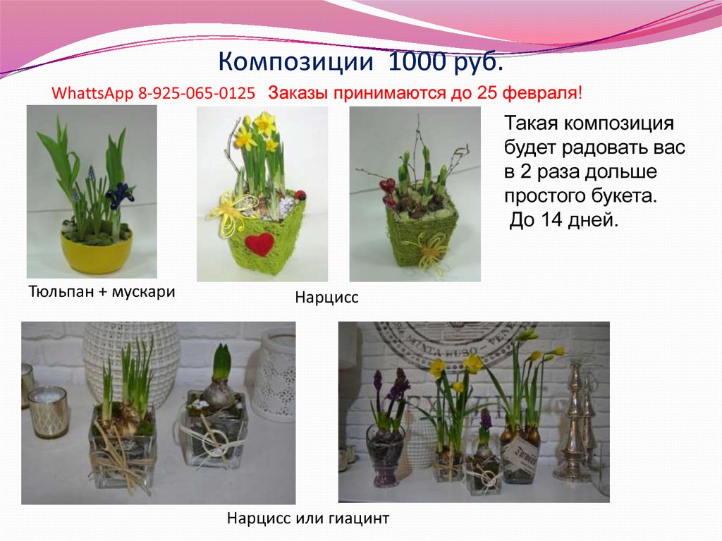 Композиции 1000 руб.