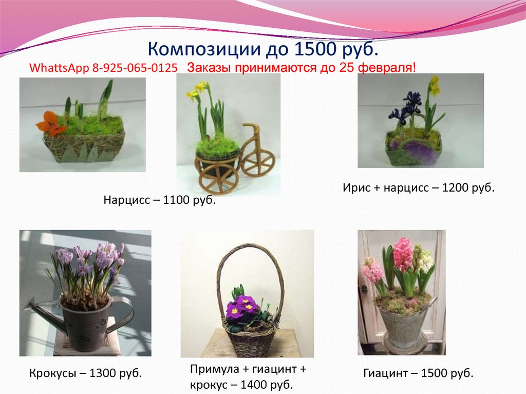 Композиции до 1500 руб.