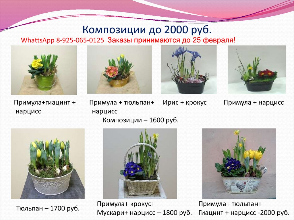 Композиции до 2000 руб.