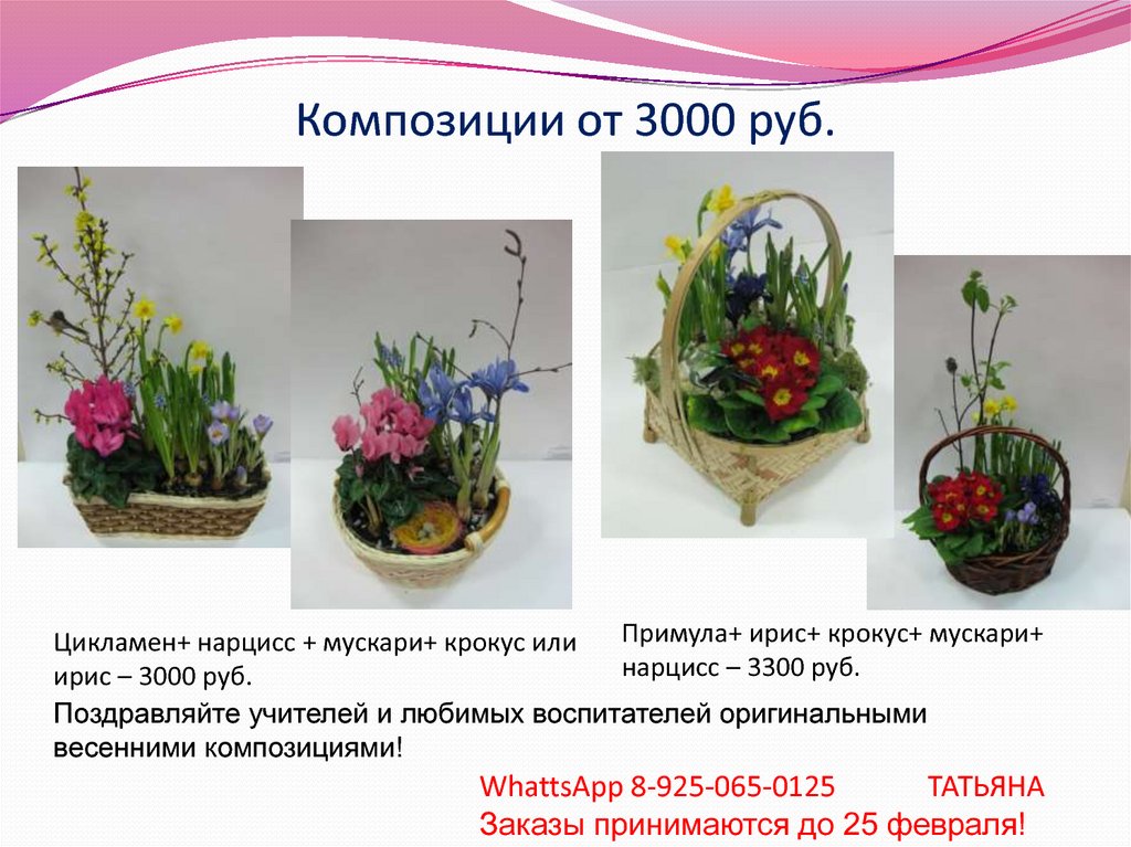 Композиции от 3000 руб.