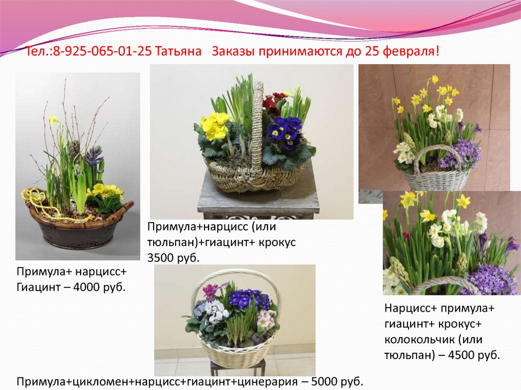 Тел.:8-925-065-01-25 Татьяна Заказы принимаются до 25 февраля!