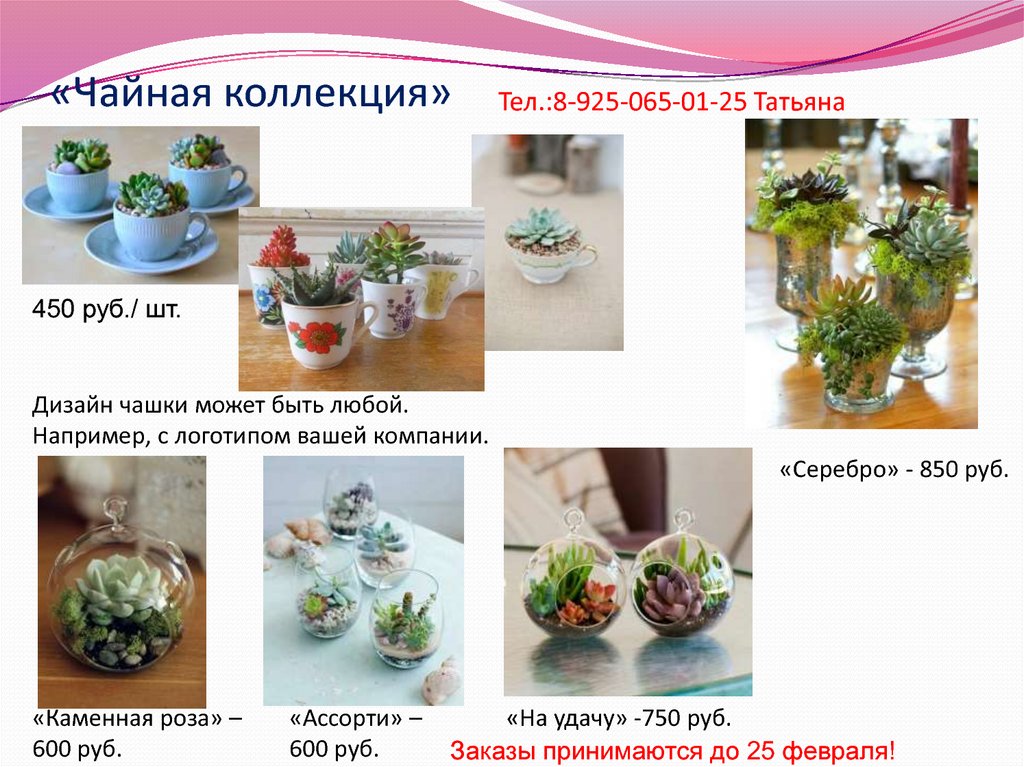 «Чайная коллекция»