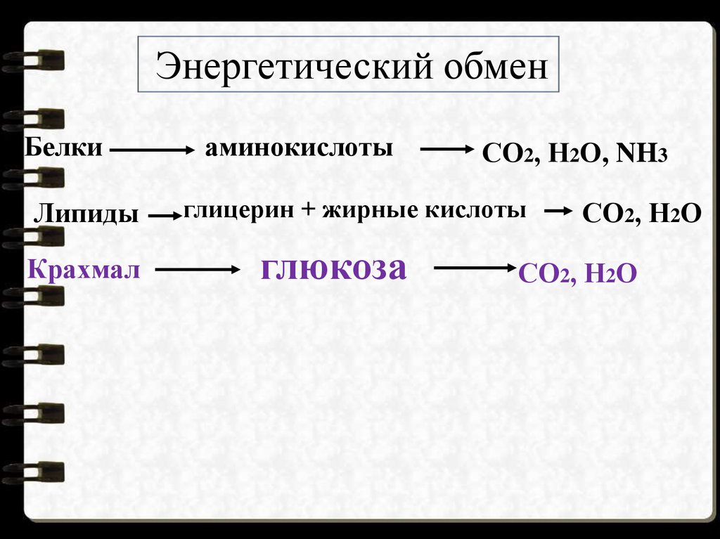 Энергетический обмен крахмала. Что это со2 +н2о+nh3. Со2 крахмал. Жирные кислоты в глюкозу. Глюкоза ,аминокислоты,жирные кислоты.