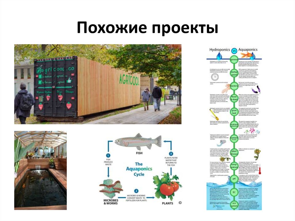 Похожие проекты