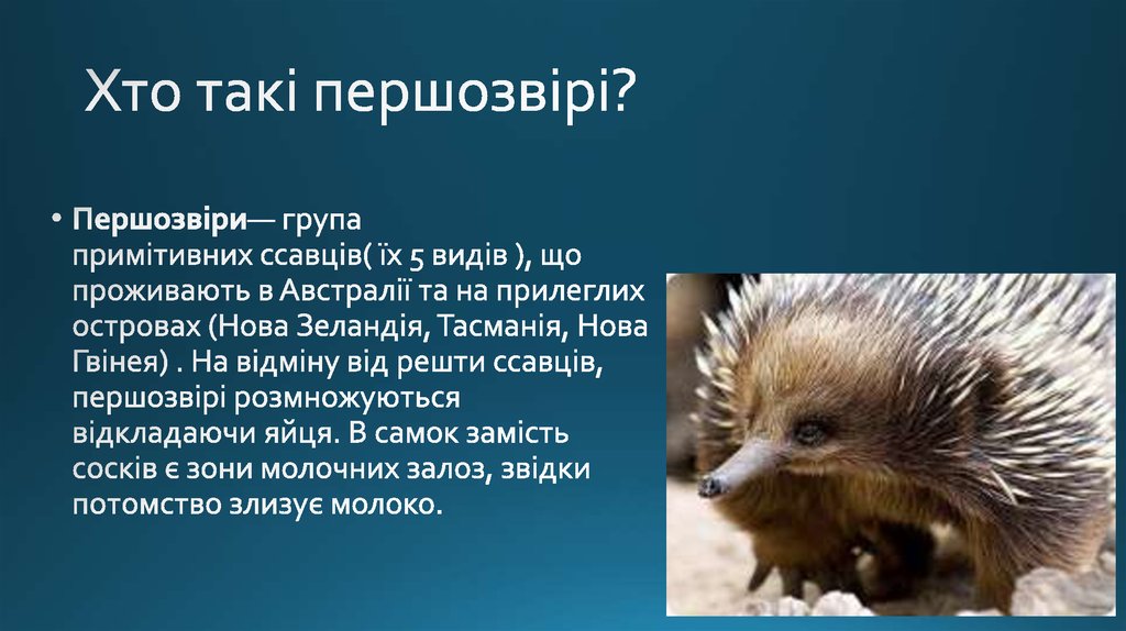 Хто такі першозвірі?