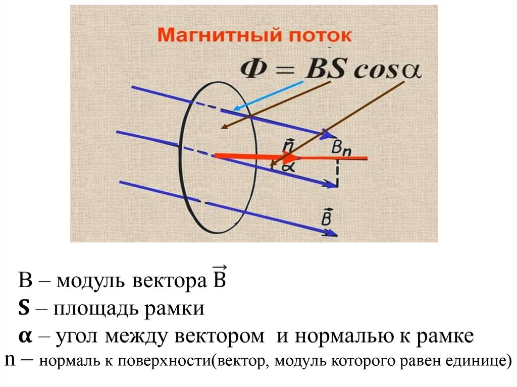 Площадь контура магнитного потока