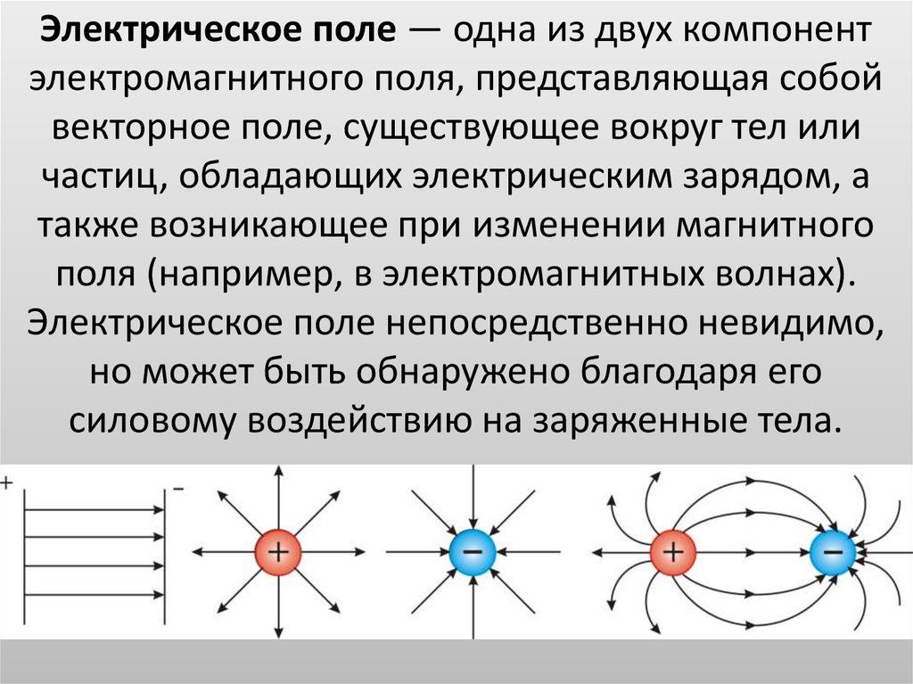 Электрическое поле основные характеристики графическое изображение