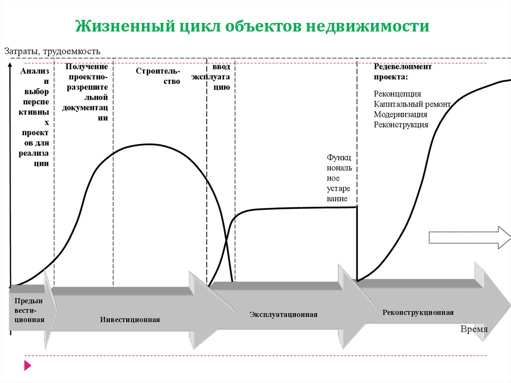 Схема жизненного цикла проекта