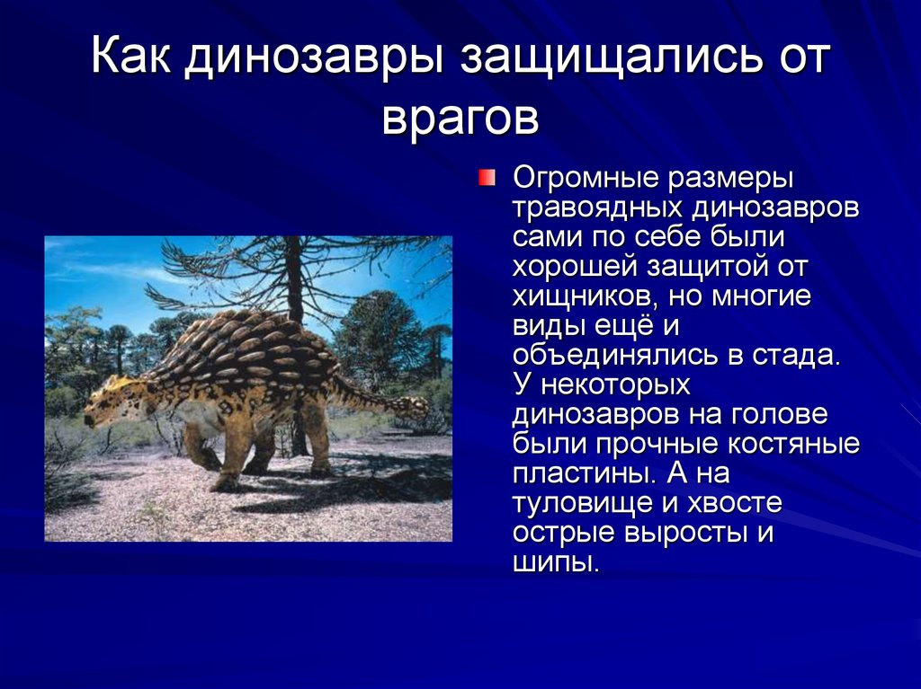 Напишите сообщение древние животные земли хищники и представьте в виде презентации используя