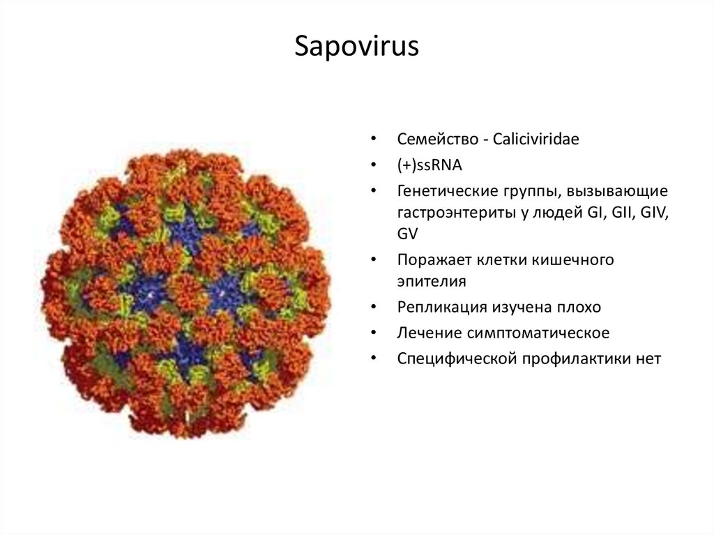 Проблемы вирусных инфекций в 20 веке проект