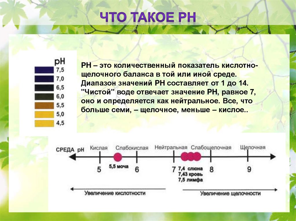 Создание рн