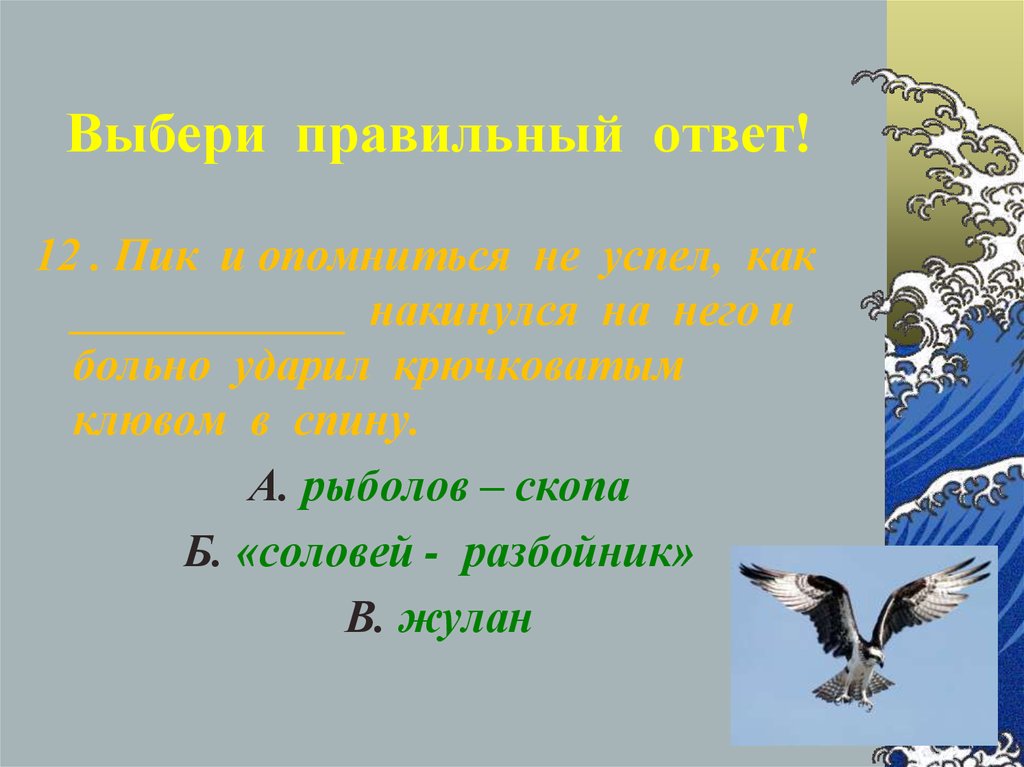 Соловей-разбойник Бианки. В Бианки Соловей разбойник план. Рассказ Соловей разбойник Бианки.