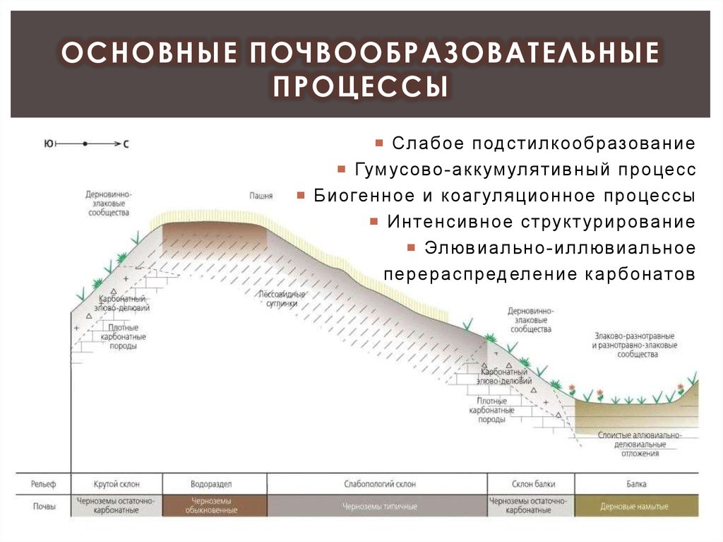 Схема почвообразовательного процесса