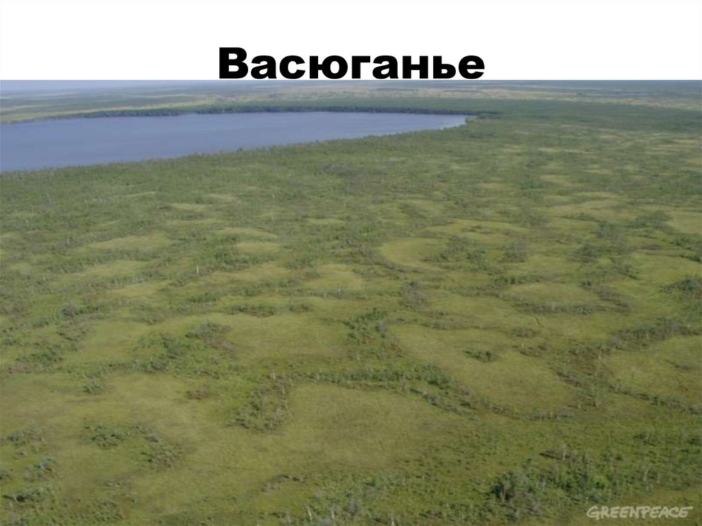 Какие крупные реки на западно сибирской равнине. Озера Западно сибирской равнины. Реки Западной Сибири. Болота Западно сибирской равнины названия. Реки Западно сибирской равнины.