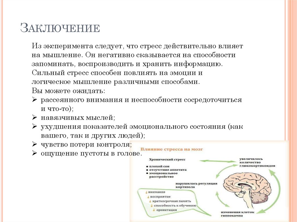 Заключение