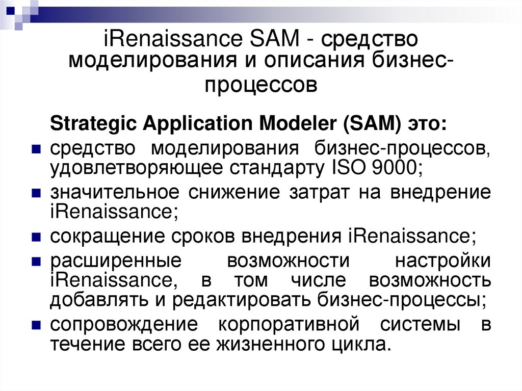 iRenaissance SAM - средство моделирования и описания бизнес-процессов