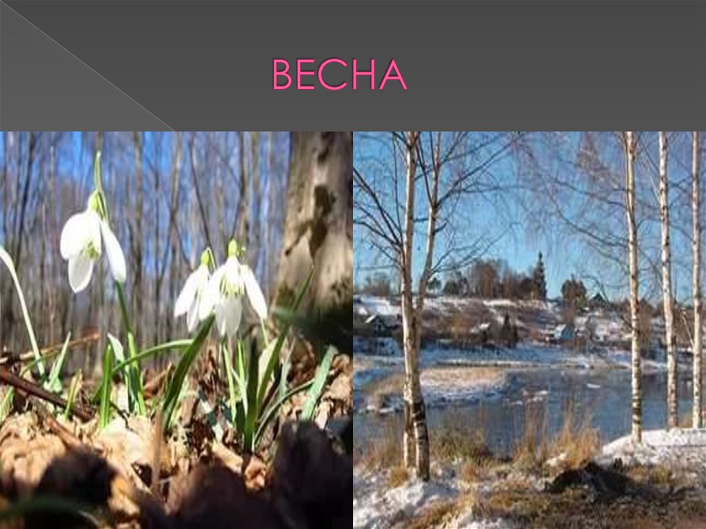 ВЕСНА