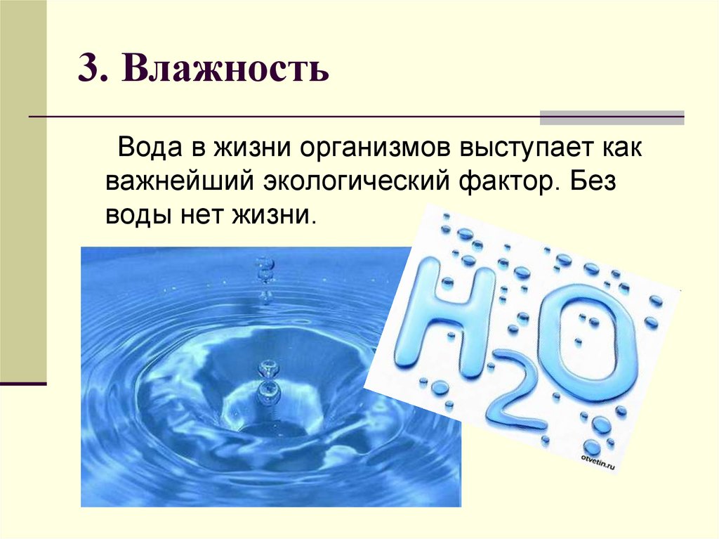 Факторы среды вода влажность. Вода влага. Влажность воды. Влага в жизни организмов. Вода и влажность как экологический фактор.