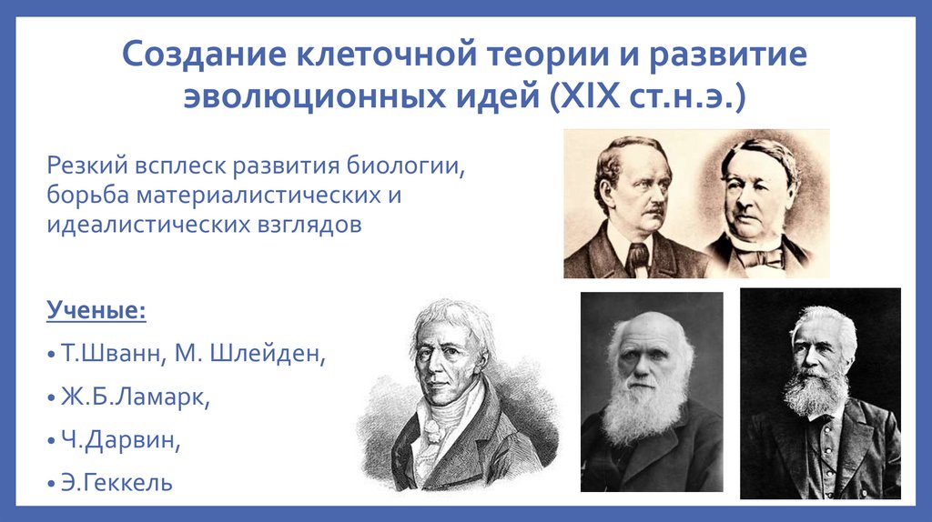 Кто создал клеточную теорию. Теория создания клеточной теории. Создание клеточной теории и развитие эволюционных идей. Создание клеточной теории Дарвин. Заслуга в разработке клеточной теории принадлежит.