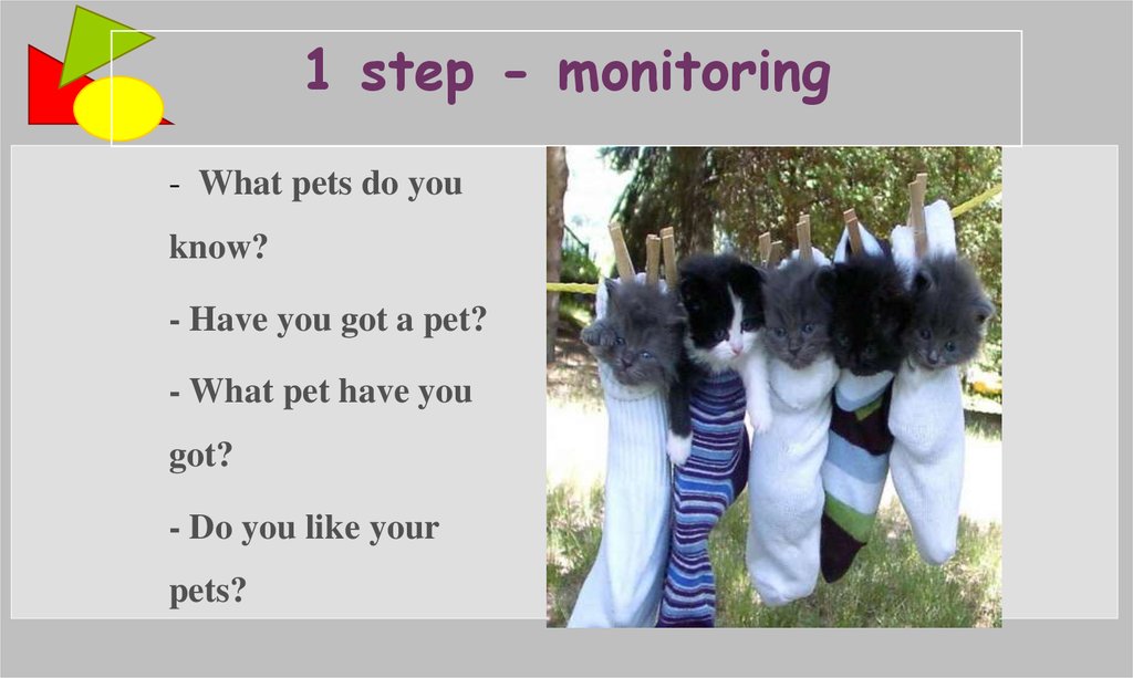 1 step - monitoring