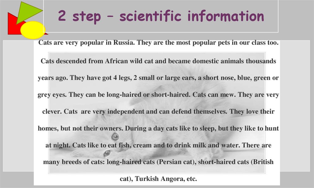 2 step – scientific information