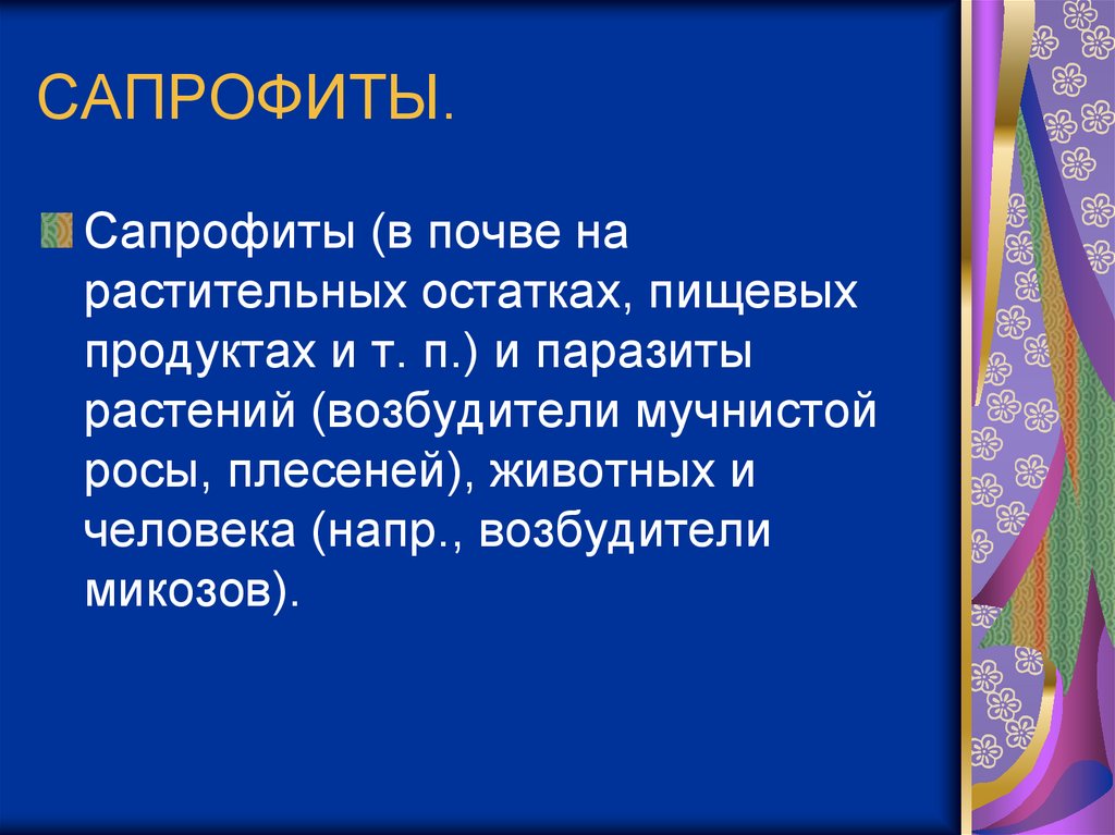 Сапрофиты. Сапрофиты это. Сапрофиты в почве. Сапрофиты это в биологии.