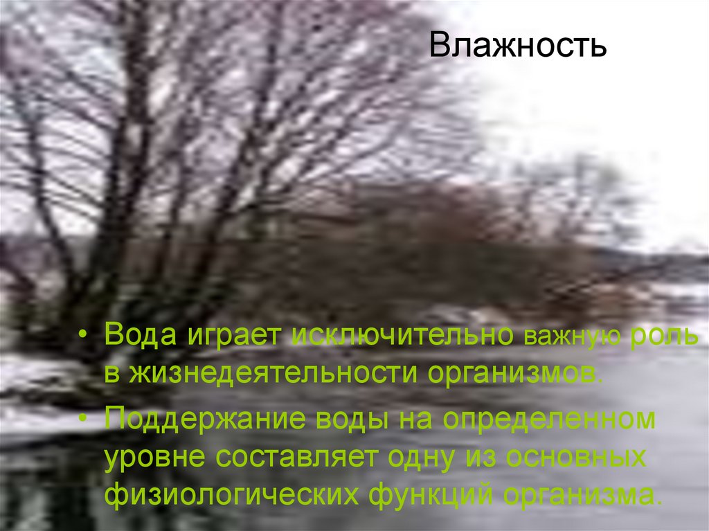 Влажная среда. Влажность в водной среде. Агрессивная среда биология. Среда обитания организмов и ее факторы презентация 11 класс. Температура в водной среде обитания.