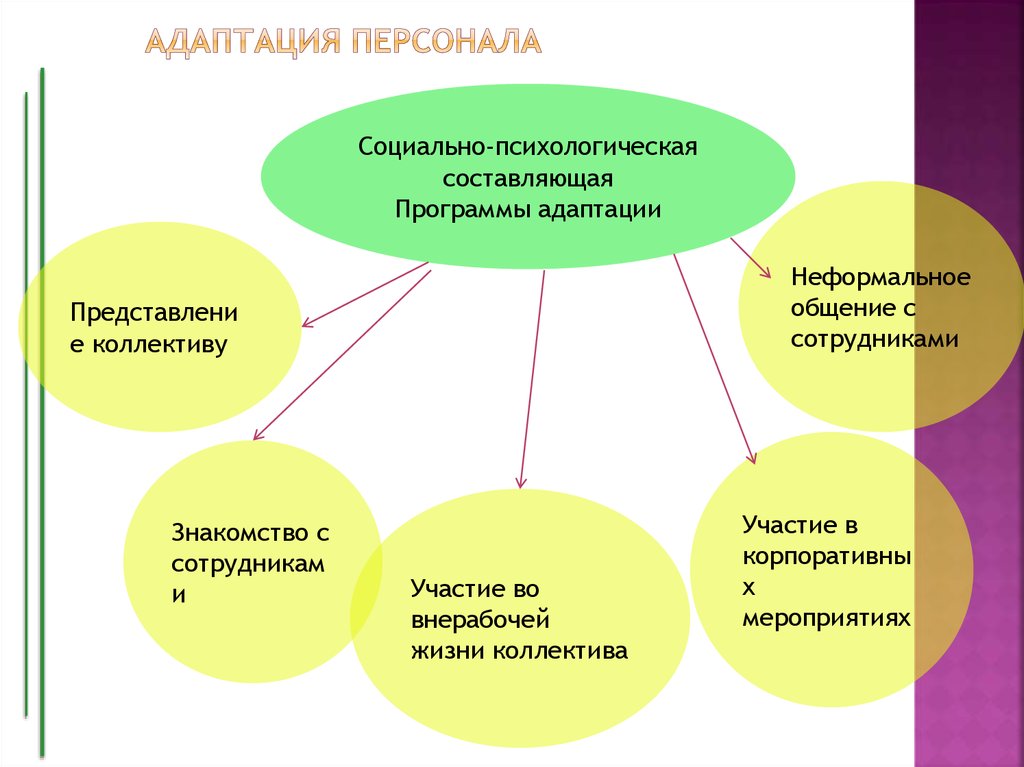 Период адаптации в коллективе. Схема процесса адаптации. Типы адаптации персонала. Схема адаптации нового сотрудника. Цель системы адаптации персонала.