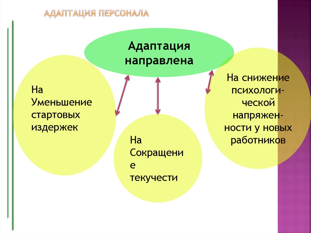 Положение об адаптации персонала образец