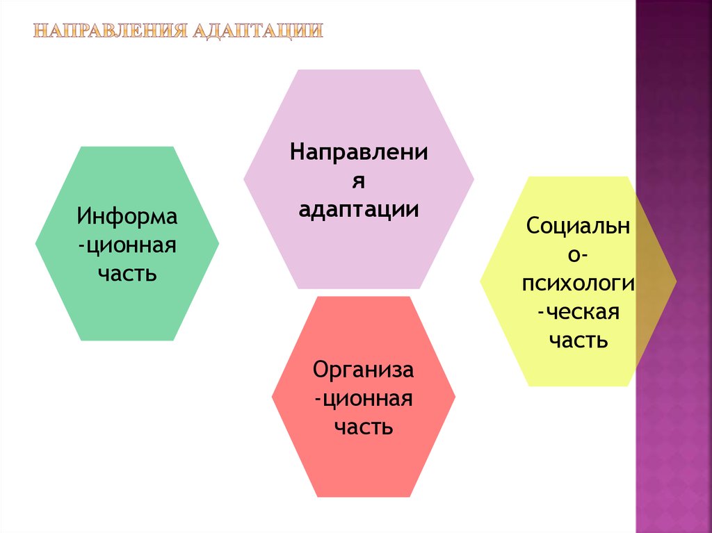 НАПРАВЛЕНИЯ АДАПТАЦИИ
