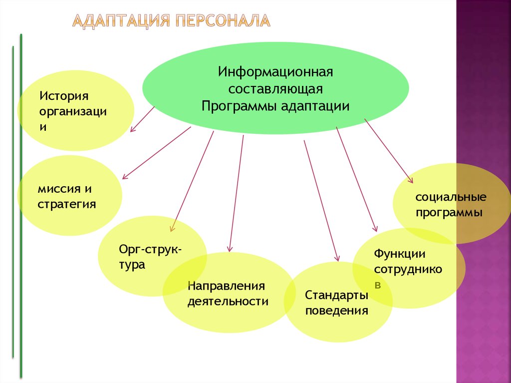 Этапы адаптации схема