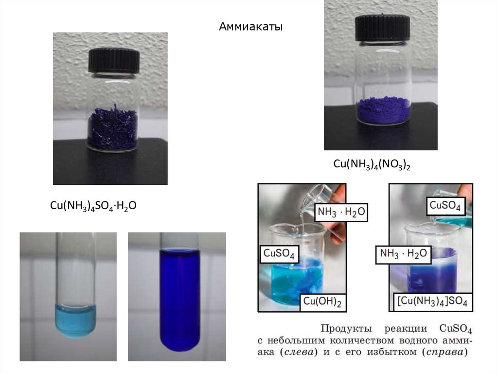 Гидроксид калия cuso4. Аммиачный комплекс меди 2 цвет. Аммиакат кобальта 2 цвет. Аммиакат меди 2 цвет. Раствор аммиаката меди.