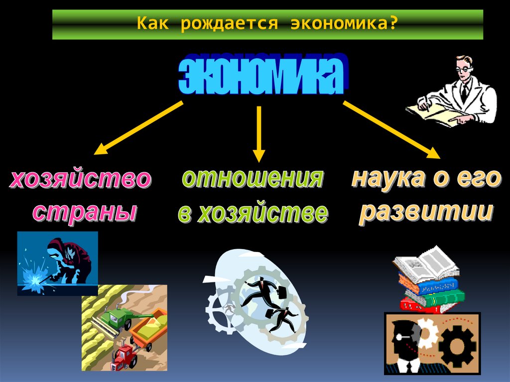 Как рождается экономика?