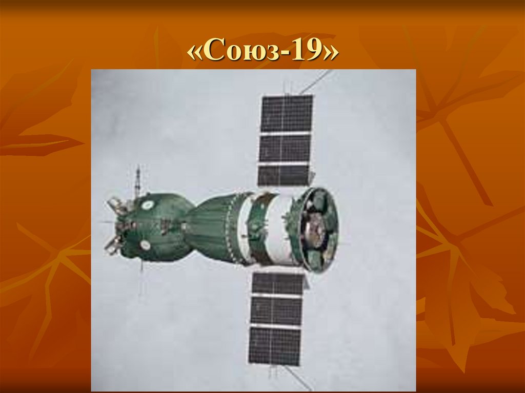 «Союз-19»