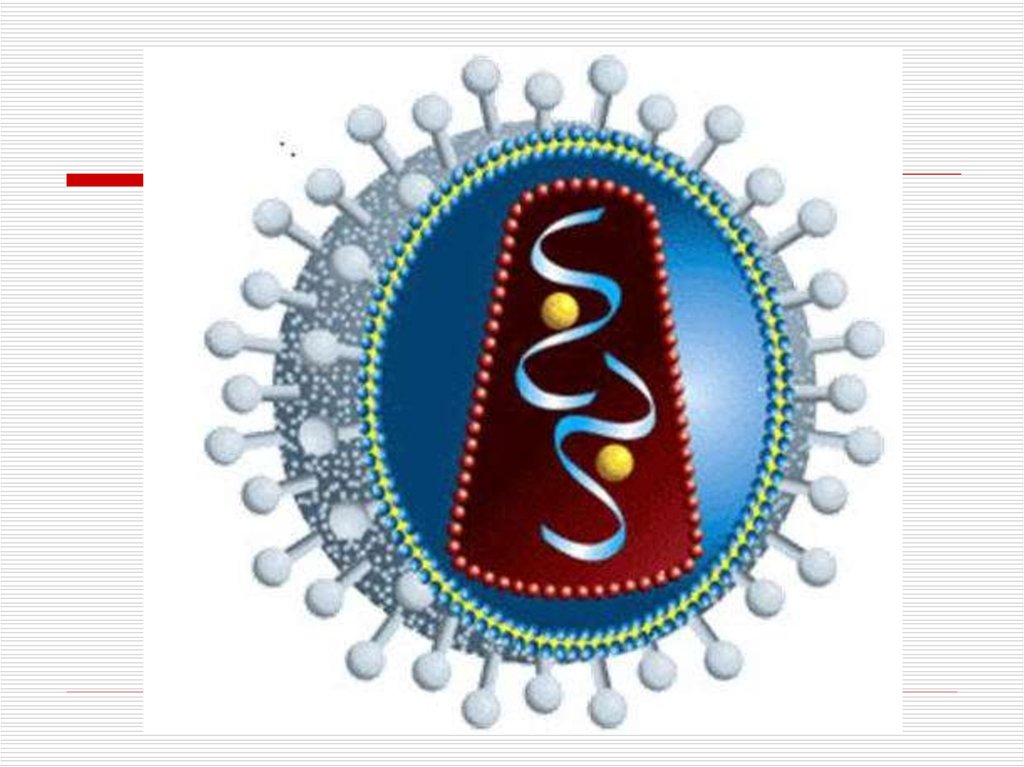 Возбудитель спида. ВИЧ возбудитель. Возбудитель болезни ВИЧ. Возбудитель ВИЧ рисунок.