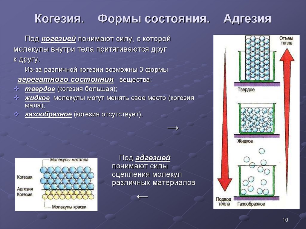 Адгезия что это такое