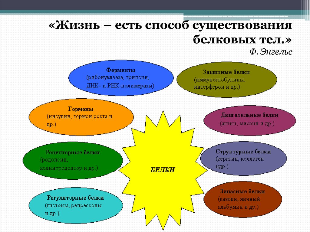 Есть способ. Жизнь есть способ существования белковых тел. Жизнь как способ существования белковых тел. Жизнь есть способ существования. Жизнь это способ существования.