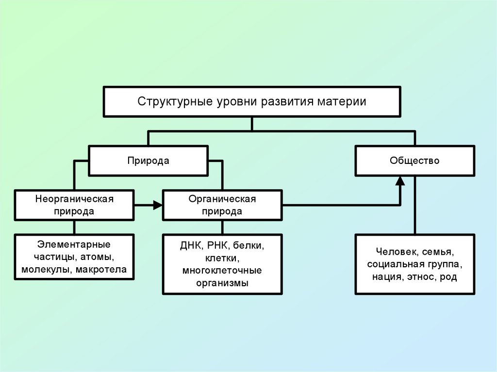 Материя и сознание. Философское учение о материи.