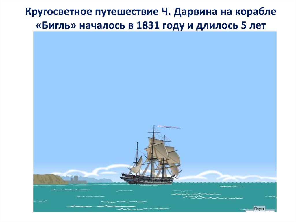 Ч дарвин кругосветное путешествие. Кругосветное путешествие Чарльза Дарвина. Кругосветное путешествие Дарвина на корабле Бигль. Экспедиция Дарвина на корабле Бигль.