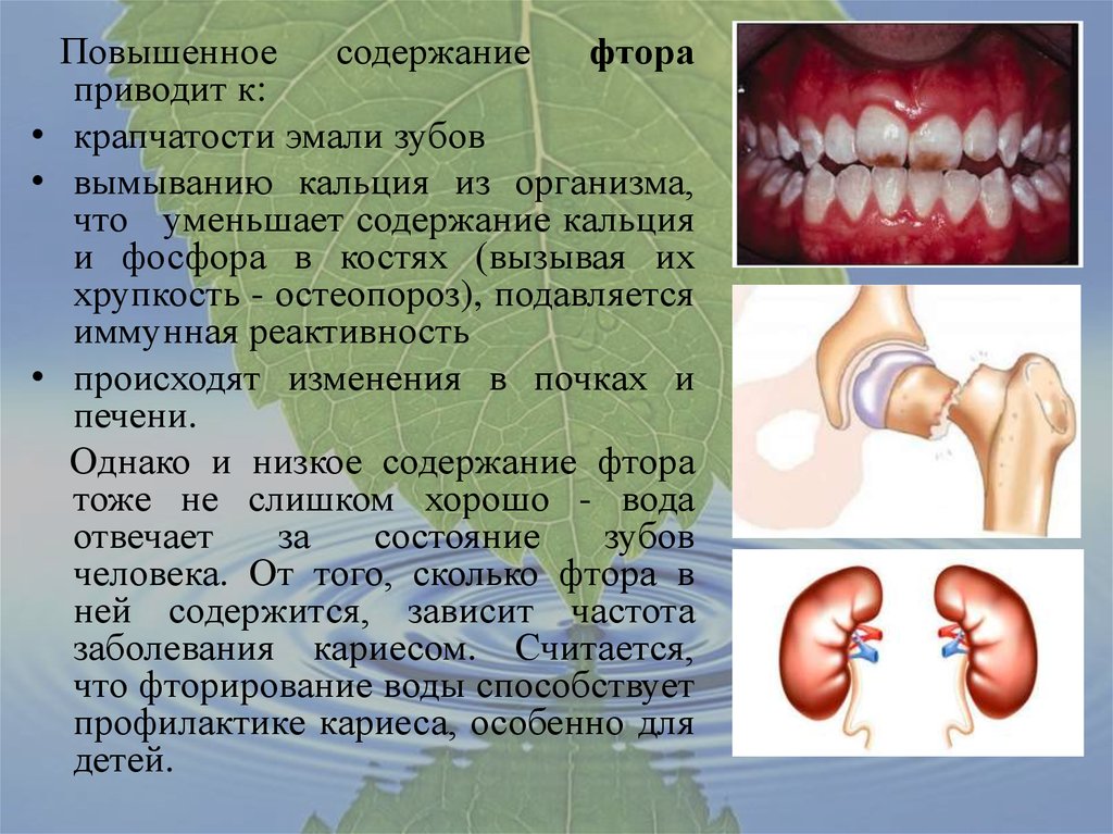 Вода в жизни человека презентация для детей