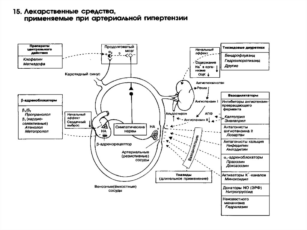 Антигипертензивные средства фармакология презентация