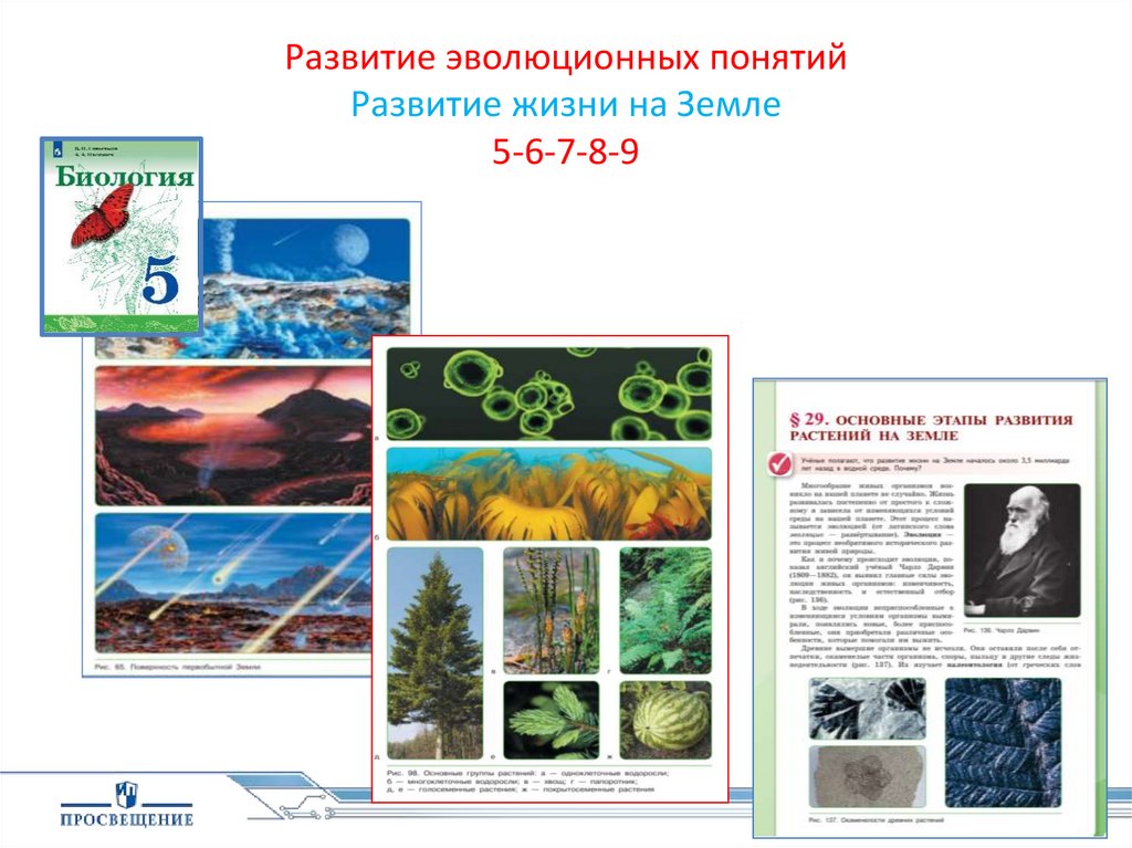Как развивалась жизнь на земле презентация 5 класс сивоглазов