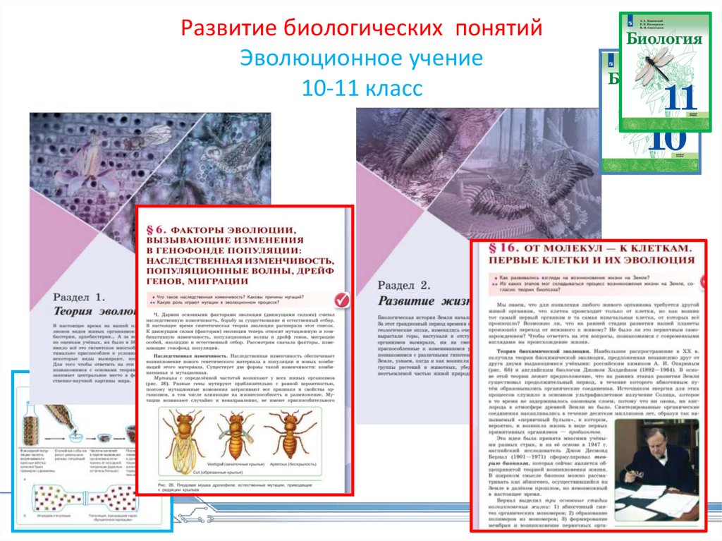 Как развивалась жизнь на земле презентация 5 класс сивоглазов