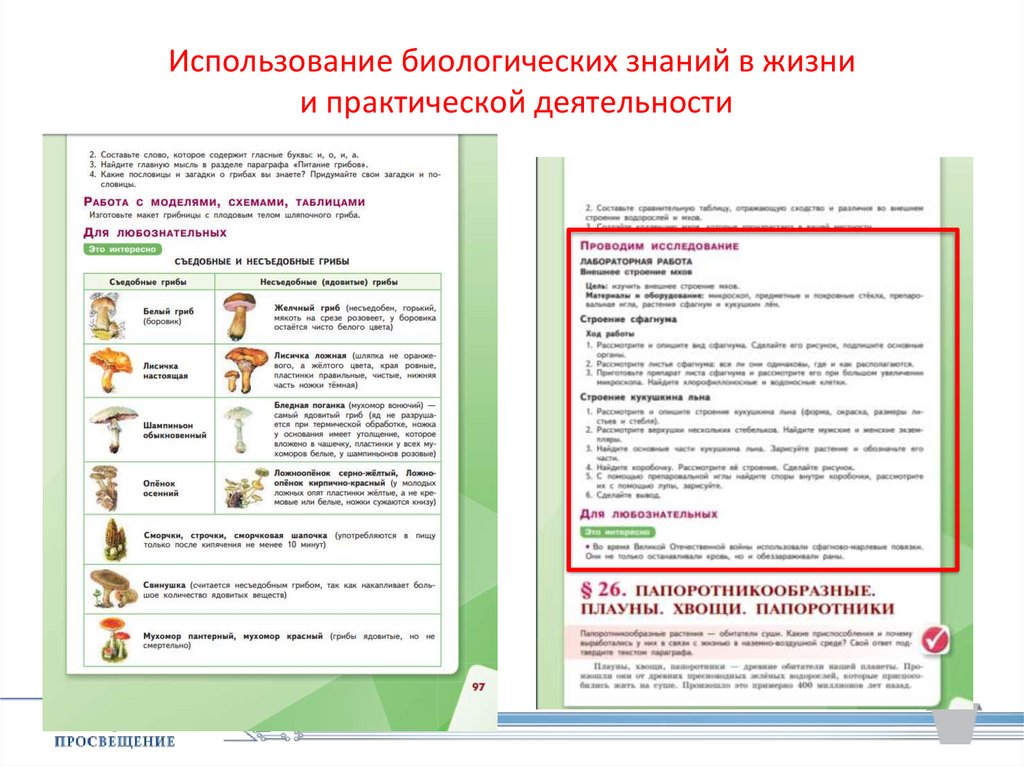 Использование биологии. Использование биологических знаний. Примеры применения биологических знаний. Практическое применение биологии. Практическое применение биологических знаний.