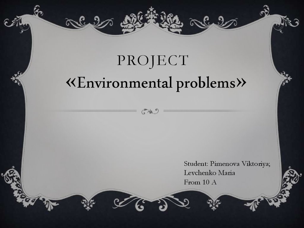 environmental problems research project