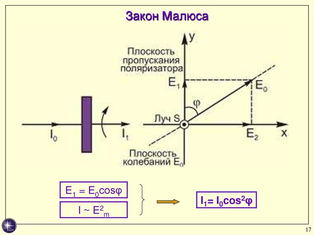 Что такое плоскость колебаний (плоскость поляризации) световой волны?. Генератор СВЧ почему волна поляризована.