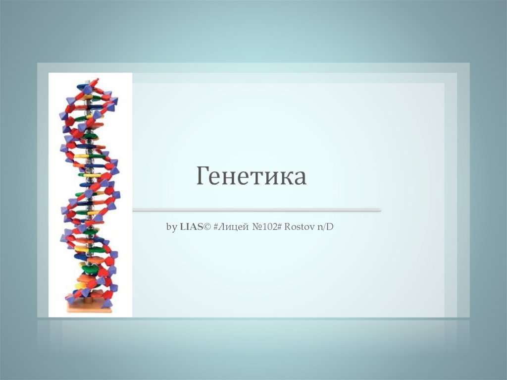 Проекты по теме генетика