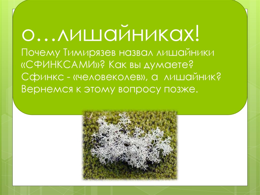 Роль лишайников в природе и жизни человека презентация